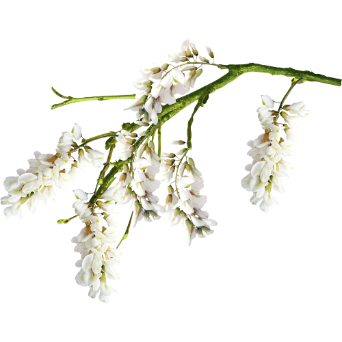 Flower Bottom Decoration